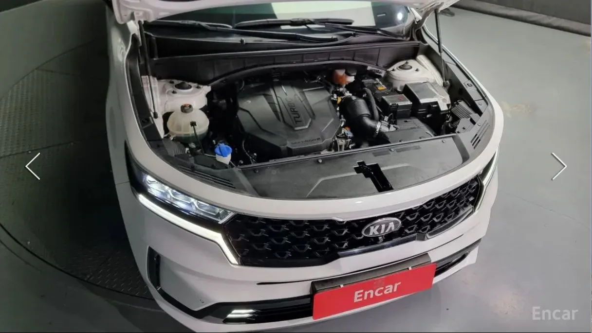  Sorento
